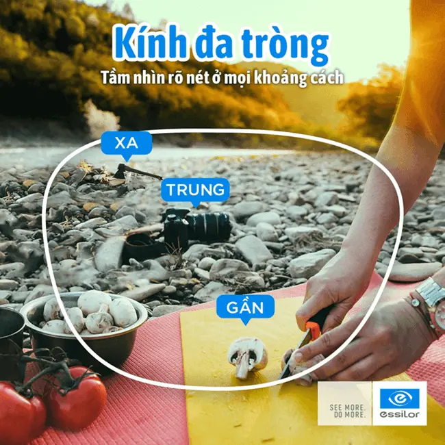 Chọn Kính Hai Tròng Hay Kính Đa Tròng? So Sánh Chi Tiết Để Là Khách Hàng Thông Thái!